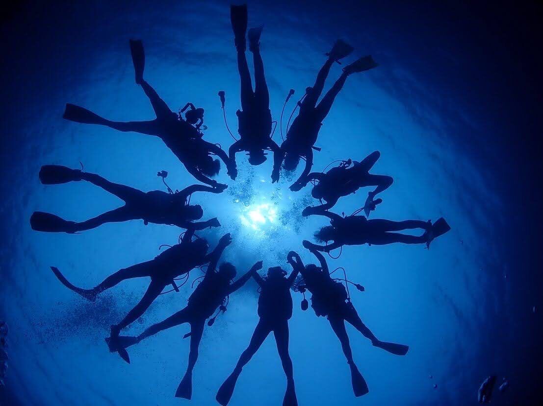 水中で手をつなぎ、輪になって泳ぐメンバーを真下から撮った写真
