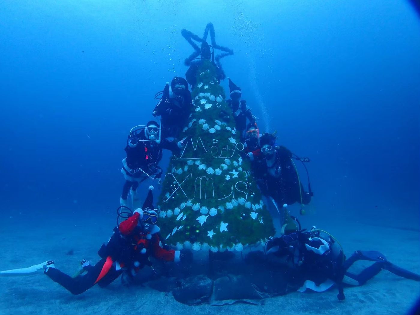 水中のクリスマスツリーを囲むダイバーたち